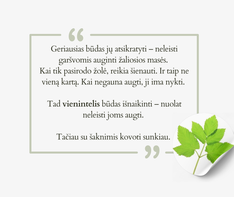 image.thumb.png.9562402fe95582a1ae95cfda77e74999.png